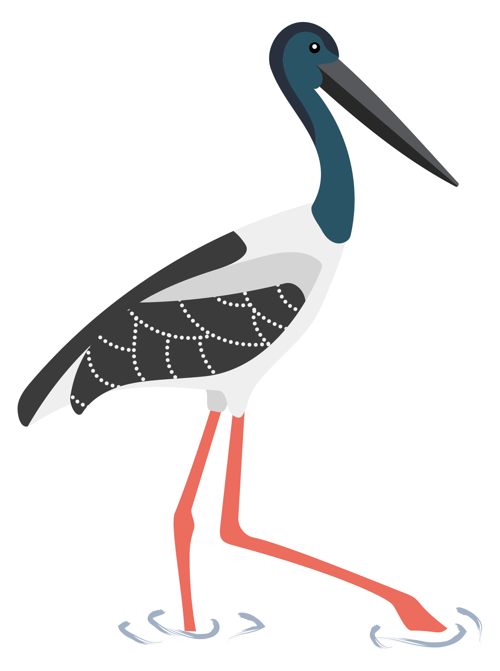 Black necked stork