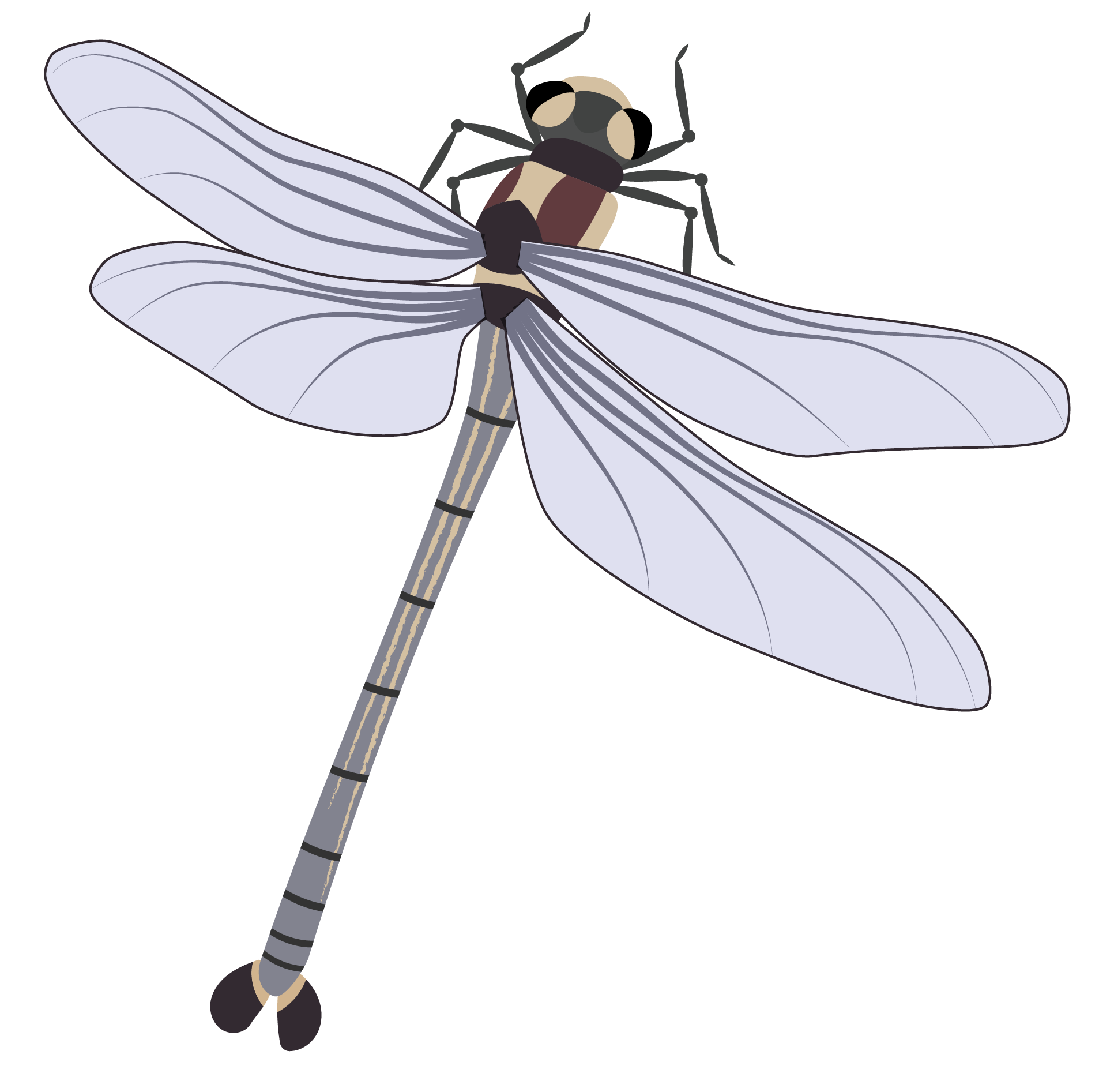 Giant dragonfly
