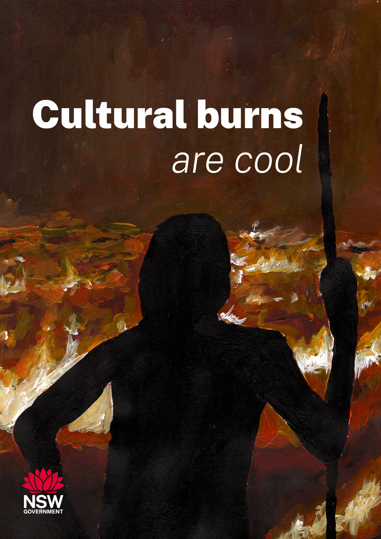 Cultural Burns are Cool book cover